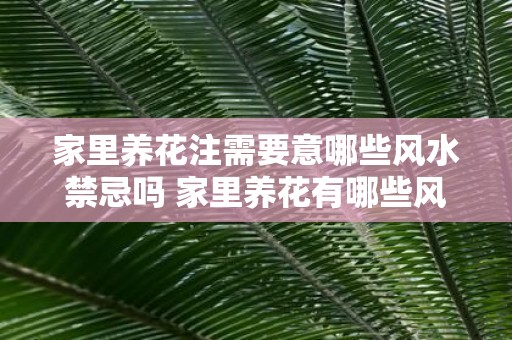 家里养花注需要意哪些风水禁忌吗 家里养花有哪些风水禁忌