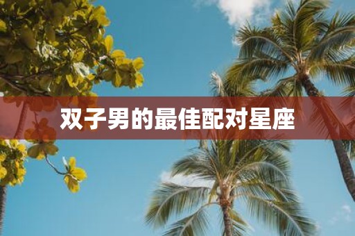 双子男的最佳配对星座