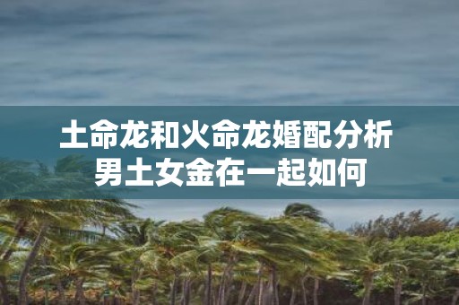 土命龙和火命龙婚配分析 男土女金在一起如何