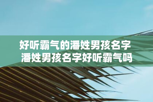 好听霸气的潘姓男孩名字 潘姓男孩名字好听霸气吗