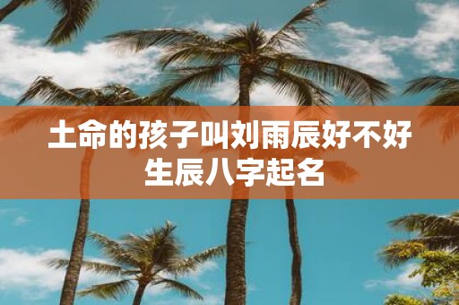 土命的孩子叫刘雨辰好不好 生辰八字起名