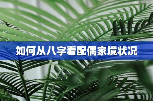 如何从八字看配偶家境状况