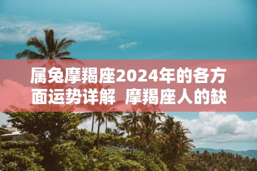 属兔摩羯座2025年的各方面运势详解 摩羯座人的缺点