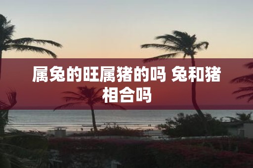 属兔的旺属猪的吗 兔和猪相合吗