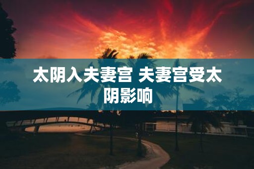 太阴入夫妻宫 夫妻宫受太阴影响
