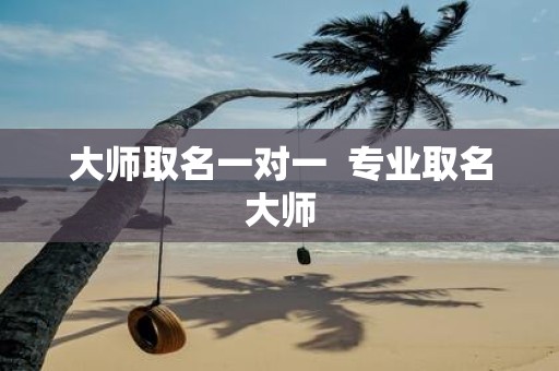 大师取名一对一 专业取名大师