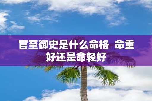 官至御史是什么命格 命重好还是命轻好