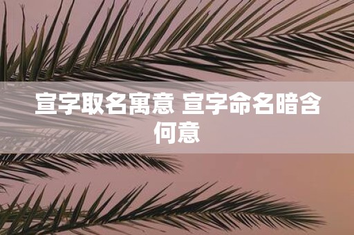 宣字取名寓意 宣字命名暗含何意