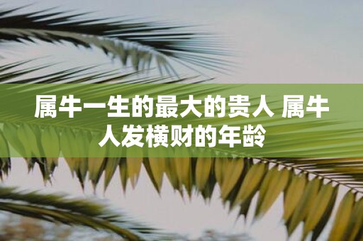 属牛一生的最大的贵人 属牛人发横财的年龄