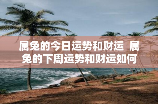 属兔的今日运势和财运 属兔的下周运势和财运如何