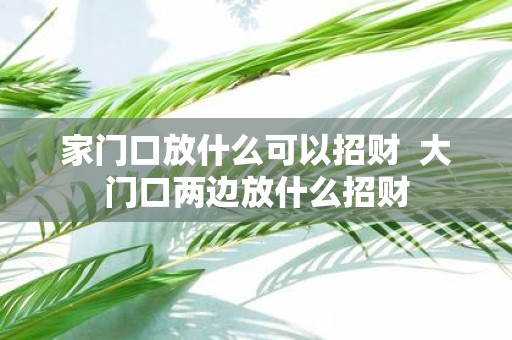 家门口放什么可以招财 大门口两边放什么招财