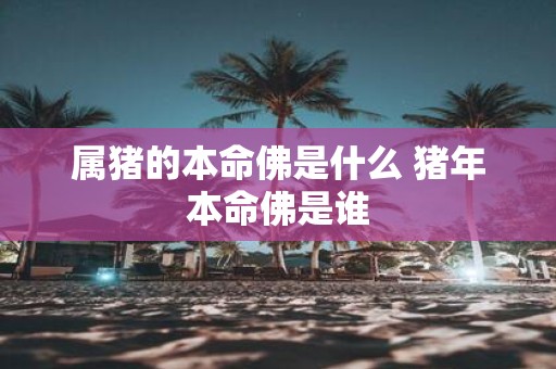 属猪的本命佛是什么 猪年本命佛是谁