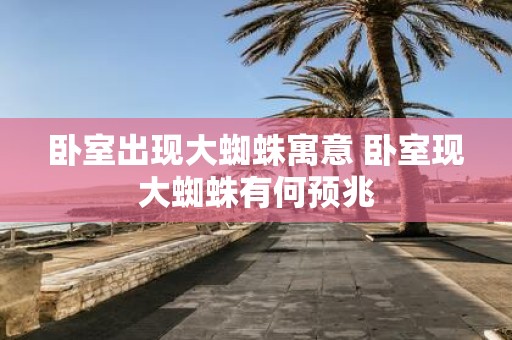 卧室出现大蜘蛛寓意 卧室现大蜘蛛有何预兆