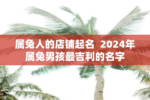 属兔人的店铺起名 2025年属兔男孩最吉利的名字