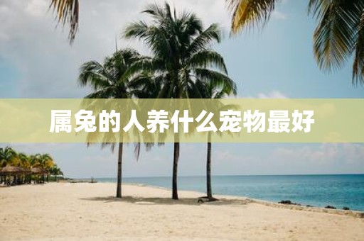 属兔的人养什么宠物最好