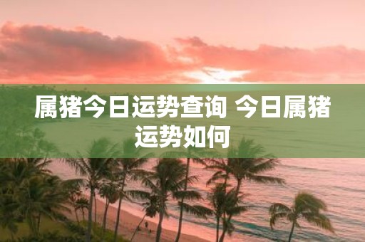 属猪今日运势查询 今日属猪运势如何