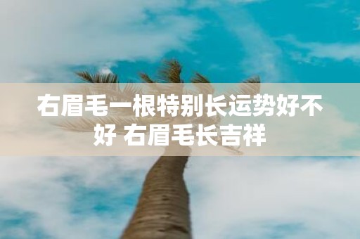 右眉毛一根特别长运势好不好 右眉毛长吉祥