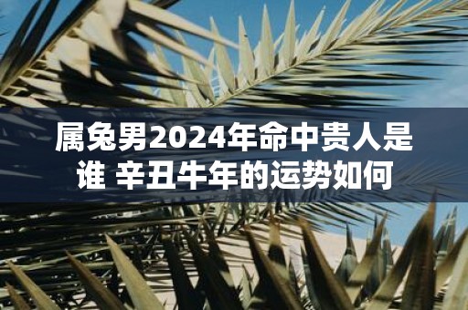 属兔男2025年命中贵人是谁 辛丑牛年的运势如何