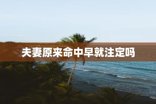 夫妻原来命中早就注定吗