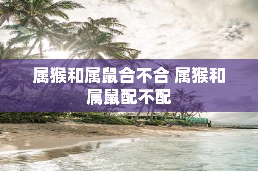 属猴和属鼠合不合 属猴和属鼠配不配