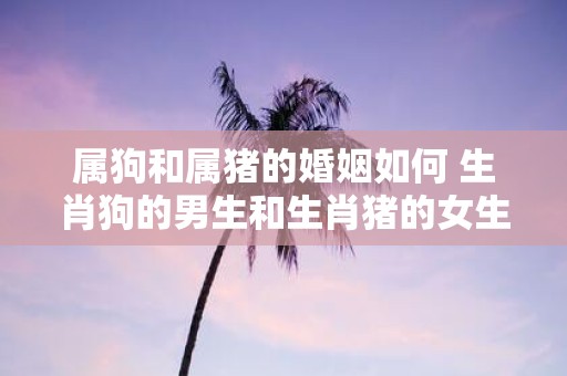 属狗和属猪的婚姻如何 生肖狗的男生和生肖猪的女生缘份指数