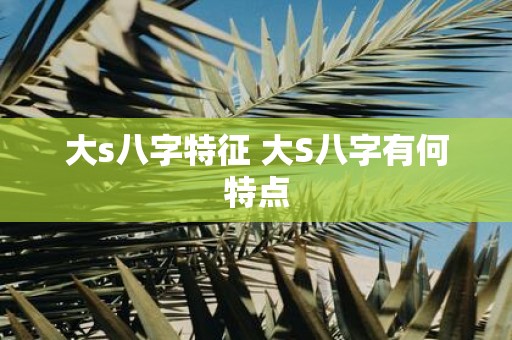 大s八字特征 大S八字有何特点