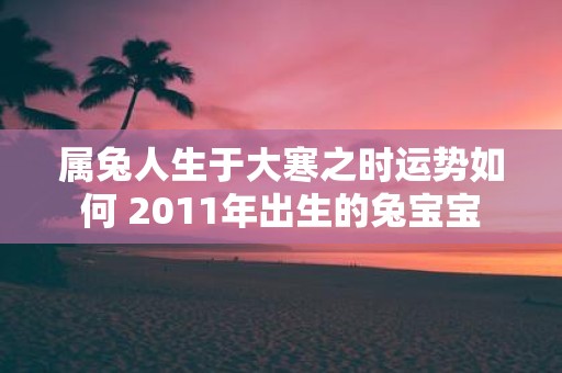 属兔人生于大寒之时运势如何 2011年出生的兔宝宝