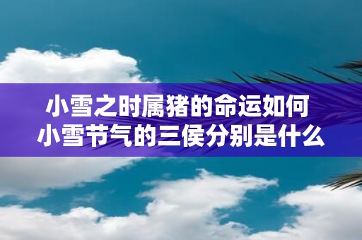 小雪之时属猪的命运如何 小雪节气的三侯分别是什么