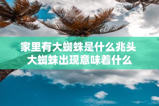 家里有大蜘蛛是什么兆头 大蜘蛛出现意味着什么