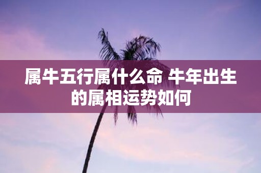 属牛五行属什么命 牛年出生的属相运势如何