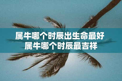 属牛哪个时辰出生命最好 属牛哪个时辰最吉祥