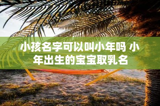 小孩名字可以叫小年吗 小年出生的宝宝取乳名