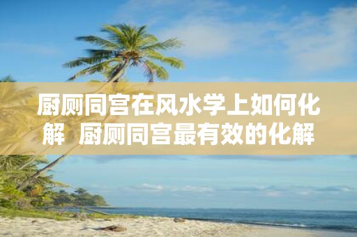 厨厕同宫在风水学上如何化解 厨厕同宫最有效的化解方法图