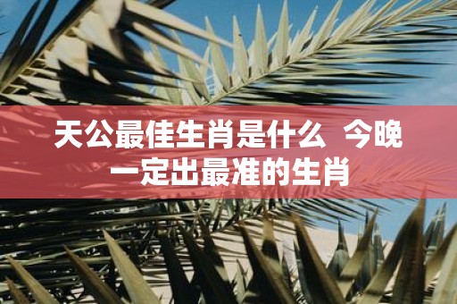 天公最佳生肖是什么 今晚一定出最准的生肖