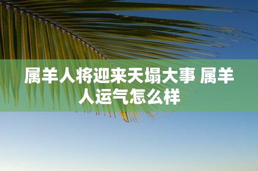 属羊人将迎来天塌大事 属羊人运气怎么样