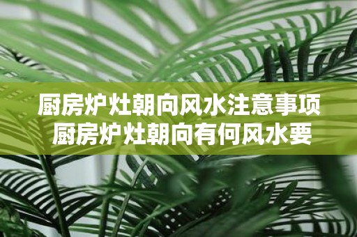厨房炉灶朝向风水注意事项 厨房炉灶朝向有何风水要求