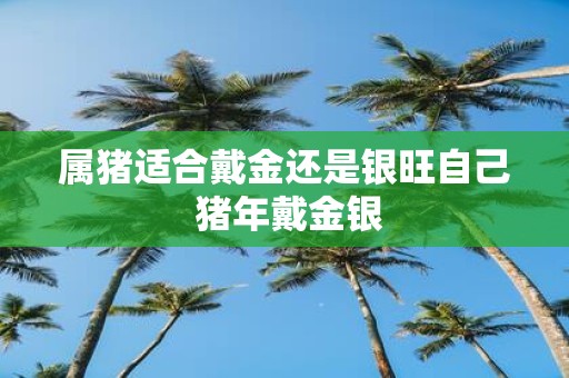 属猪适合戴金还是银旺自己 猪年戴金银