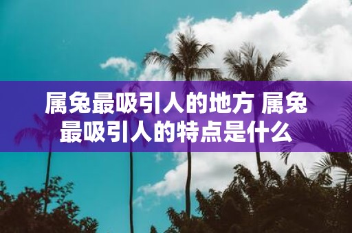 属兔最吸引人的地方 属兔最吸引人的特点是什么