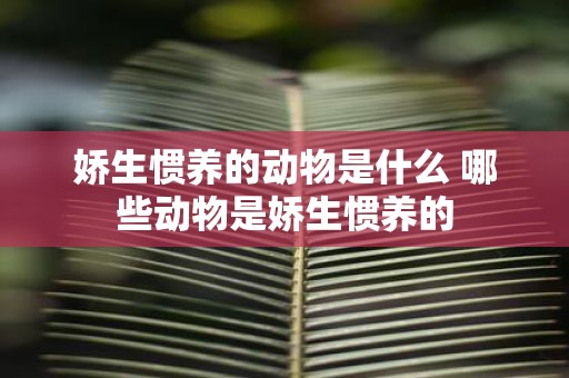 娇生惯养的动物是什么 哪些动物是娇生惯养的
