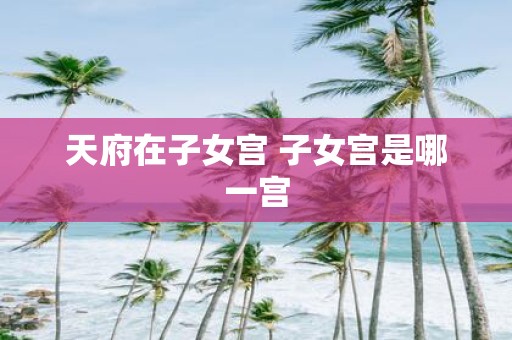 天府在子女宫 子女宫是哪一宫