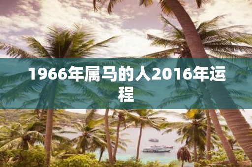 1966年属马的人2016年运程