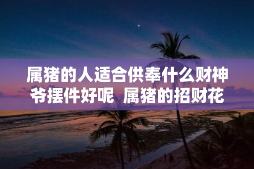 属猪的人适合供奉什么财神爷摆件好呢 属猪的招财花