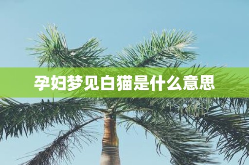 孕妇梦见白猫是什么意思