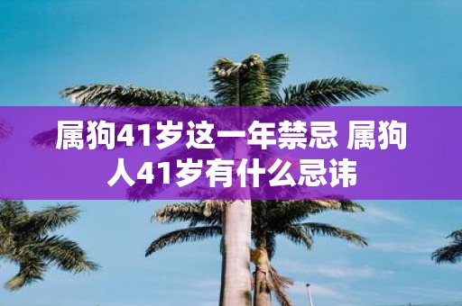 属狗41岁这一年禁忌 属狗人41岁有什么忌讳