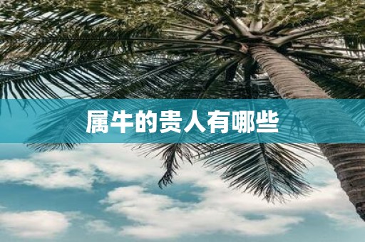 属牛的贵人有哪些