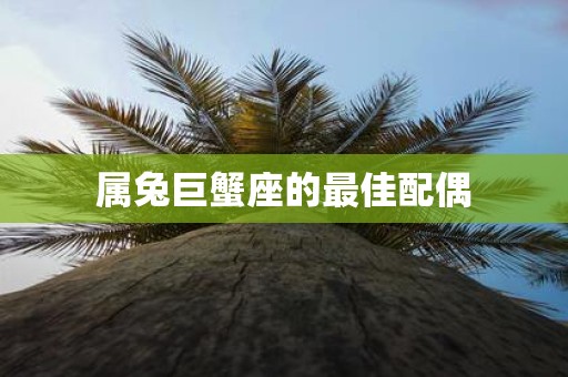 属兔巨蟹座的最佳配偶