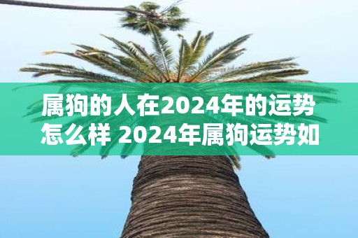 属狗的人在2025年的运势怎么样 2025年属狗运势如何