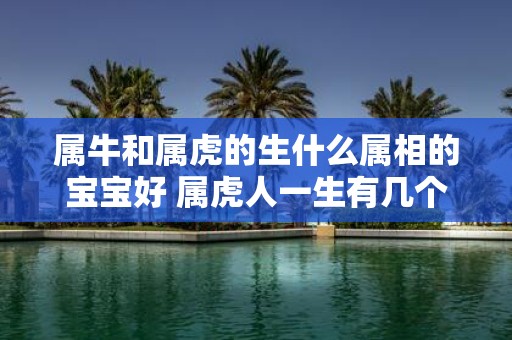 属牛和属虎的生什么属相的宝宝好 属虎人一生有几个孩子