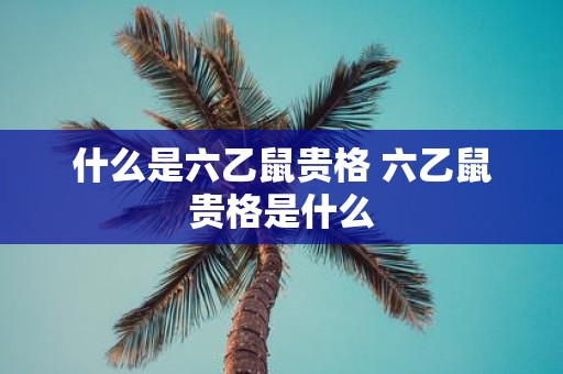 什么是六乙鼠贵格 六乙鼠贵格是什么