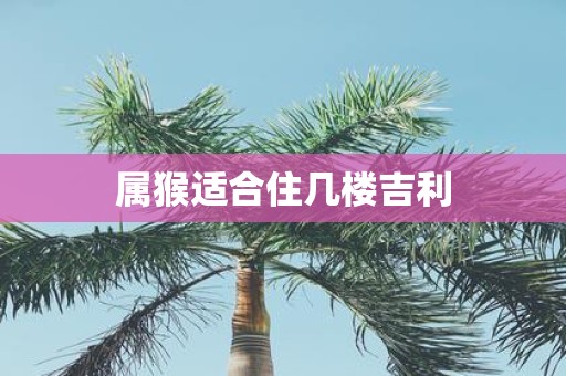 属猴适合住几楼吉利